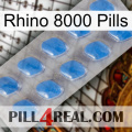 Rhino 8000 Pills 22